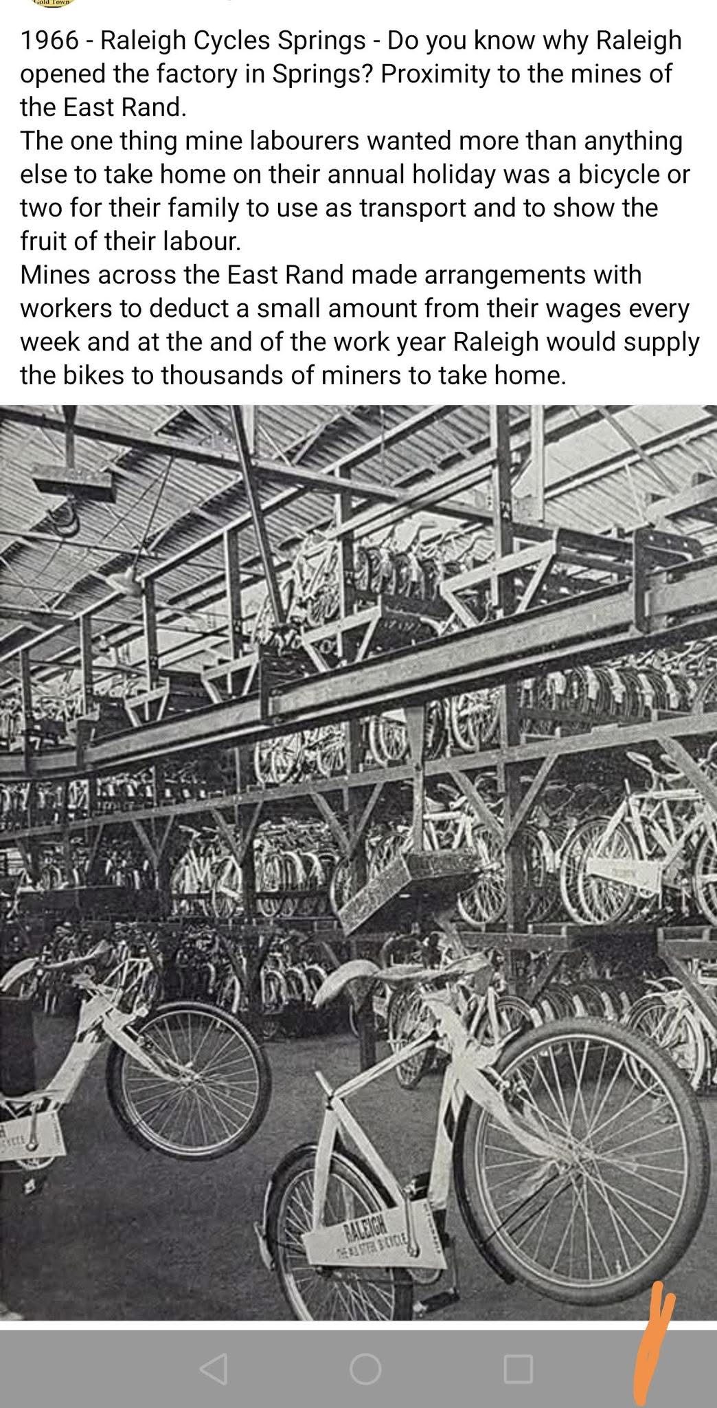 Archival reference about the Raleigh bicycle factory in Springs, South Africa